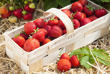 Erdbeeren in einem Korb